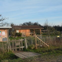 Climat, environnement et transition écologique